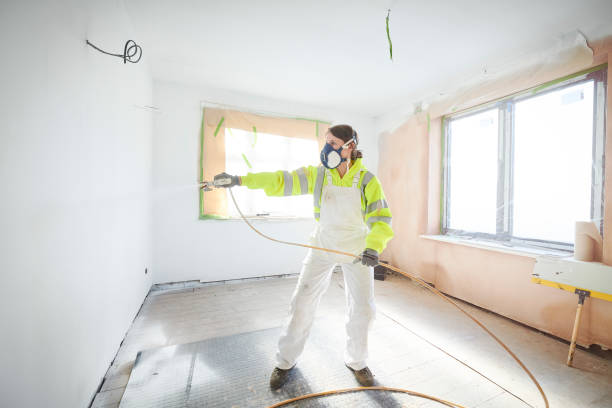Professional Mold Removal in Butler, AL